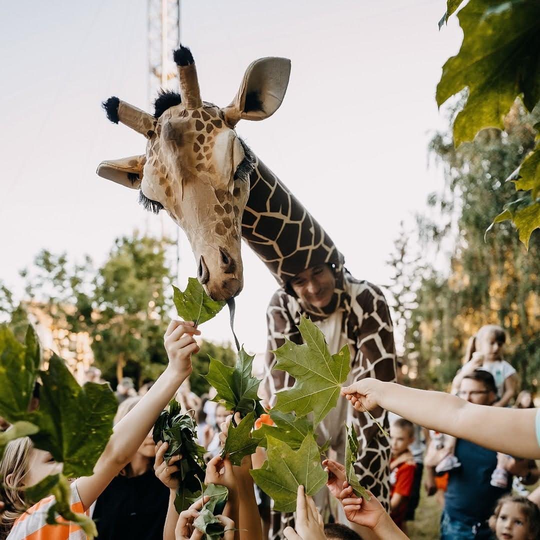 GIRAFES