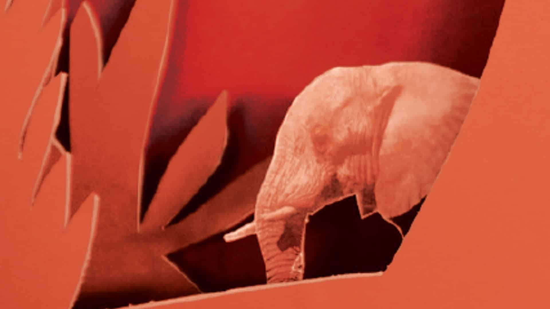 DIORAMA